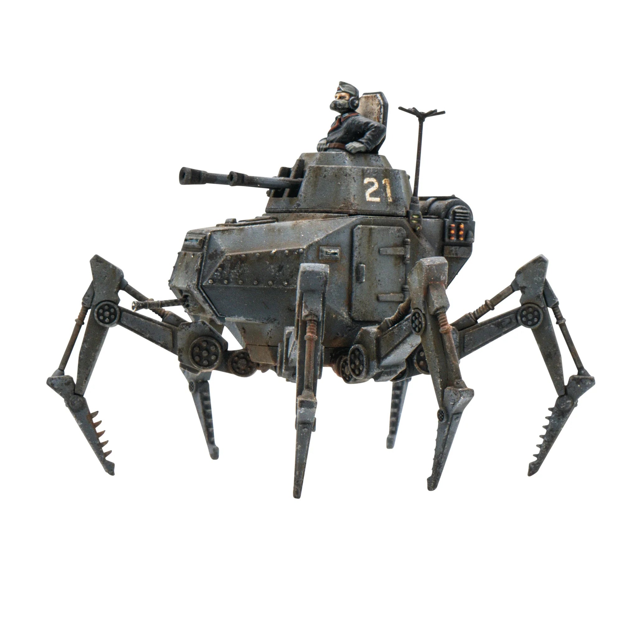 Vogelspinne Light Walker
