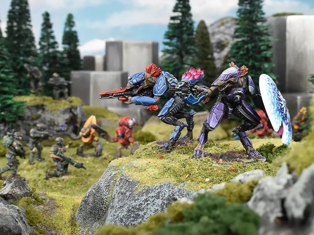 *PREVENTA* Banished Reinforcements